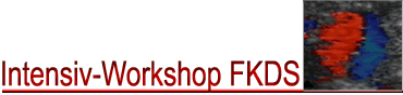 Intensiv-Workshop FKDS